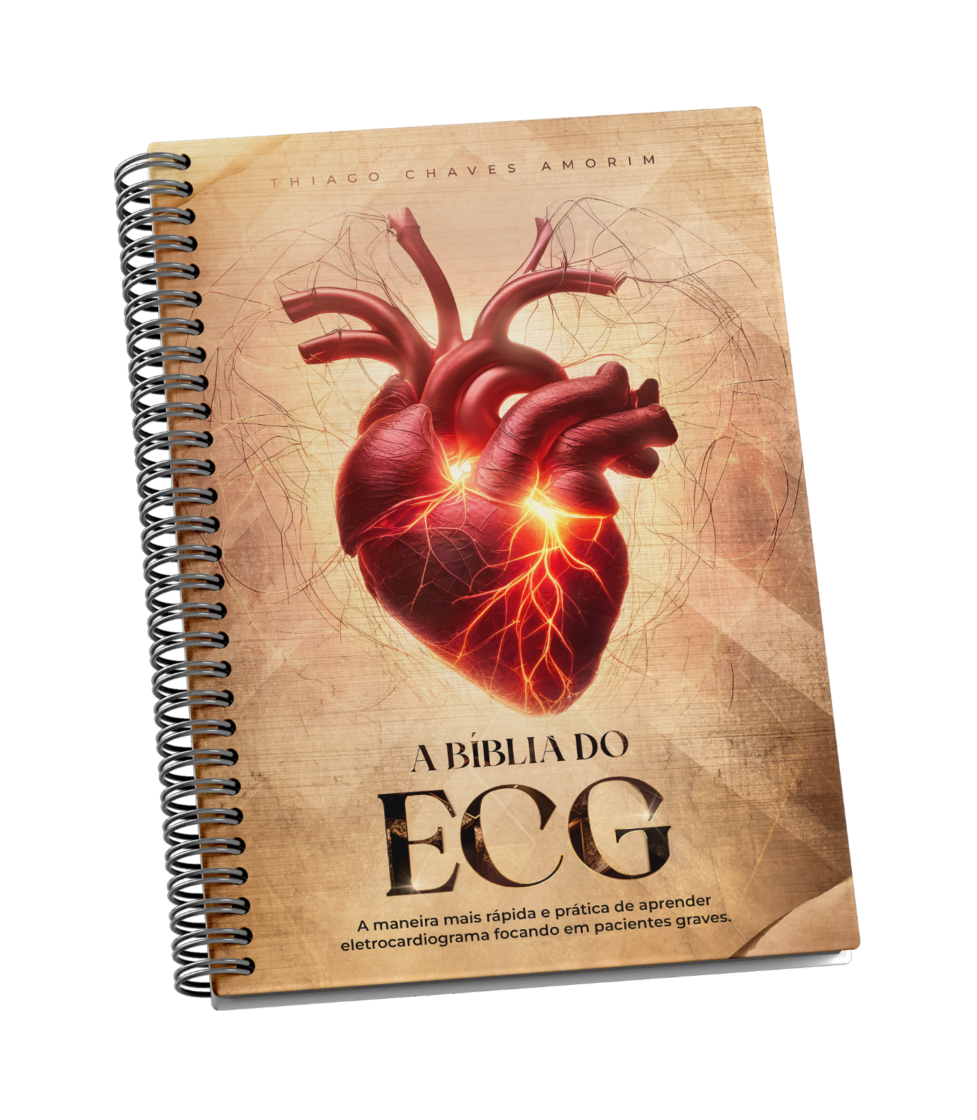 A Bíblia do ECG